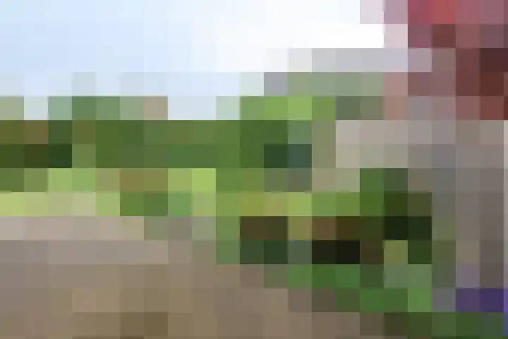 Housestraat 1 Zutphen thumbnail 17