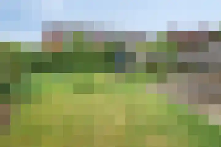 Housestraat 1 Zutphen thumbnail 18