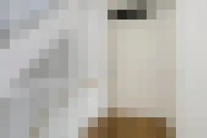 Housestraat 3 Zutphen thumbnail 20