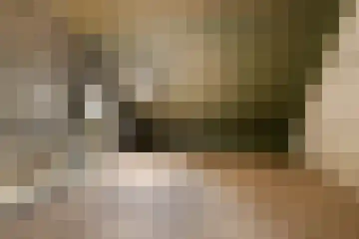 Housestraat 3 Zutphen thumbnail 33