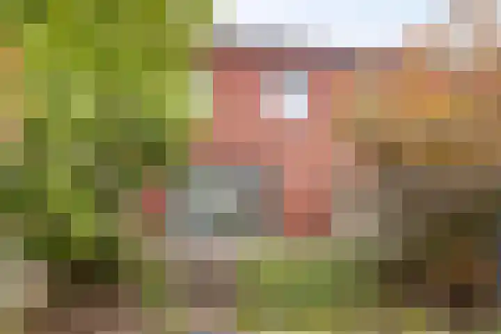 Housestraat 3 Zutphen thumbnail 36