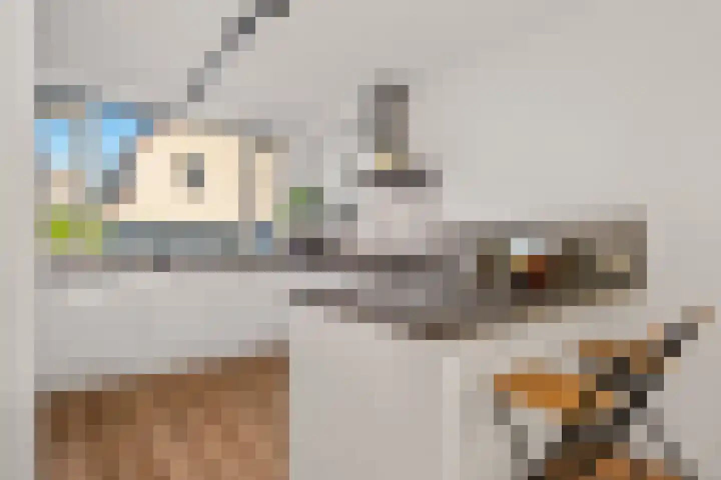Houstondreef 21 Utrecht thumbnail 17