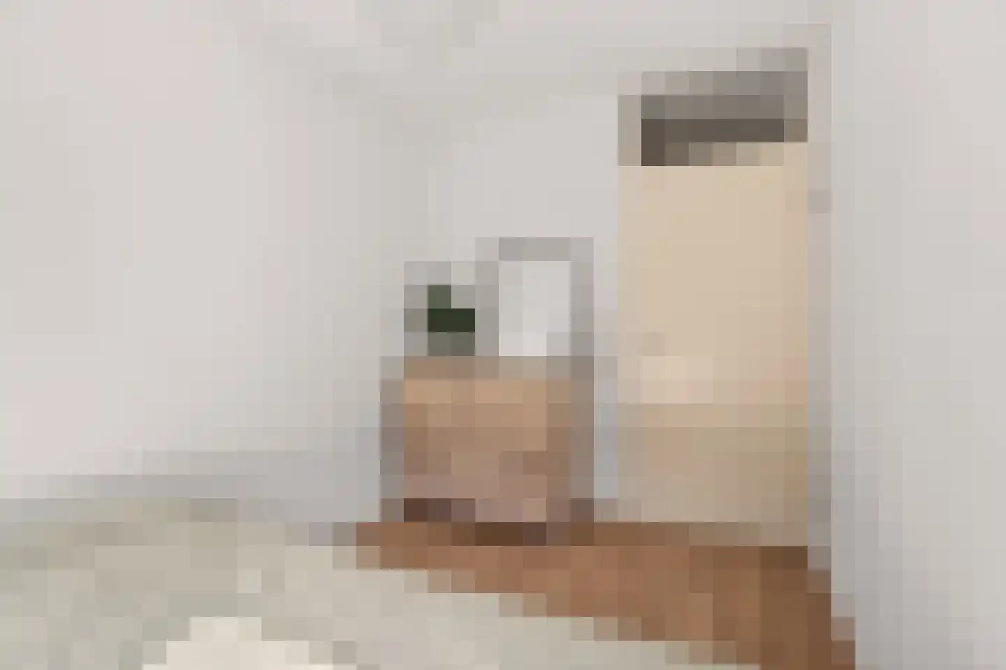 Houstondreef 21 Utrecht thumbnail 36