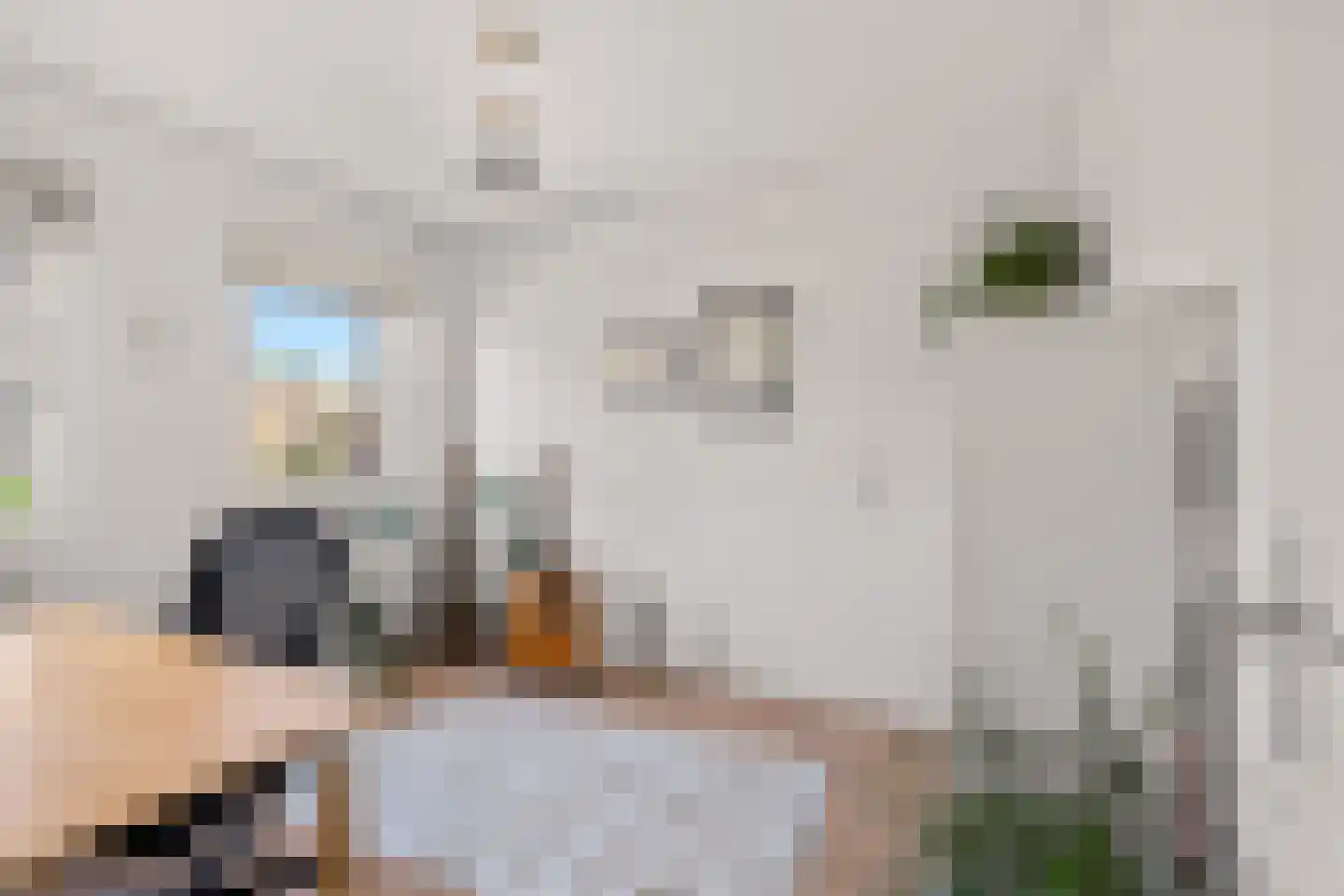 Houstondreef 21 Utrecht thumbnail 38