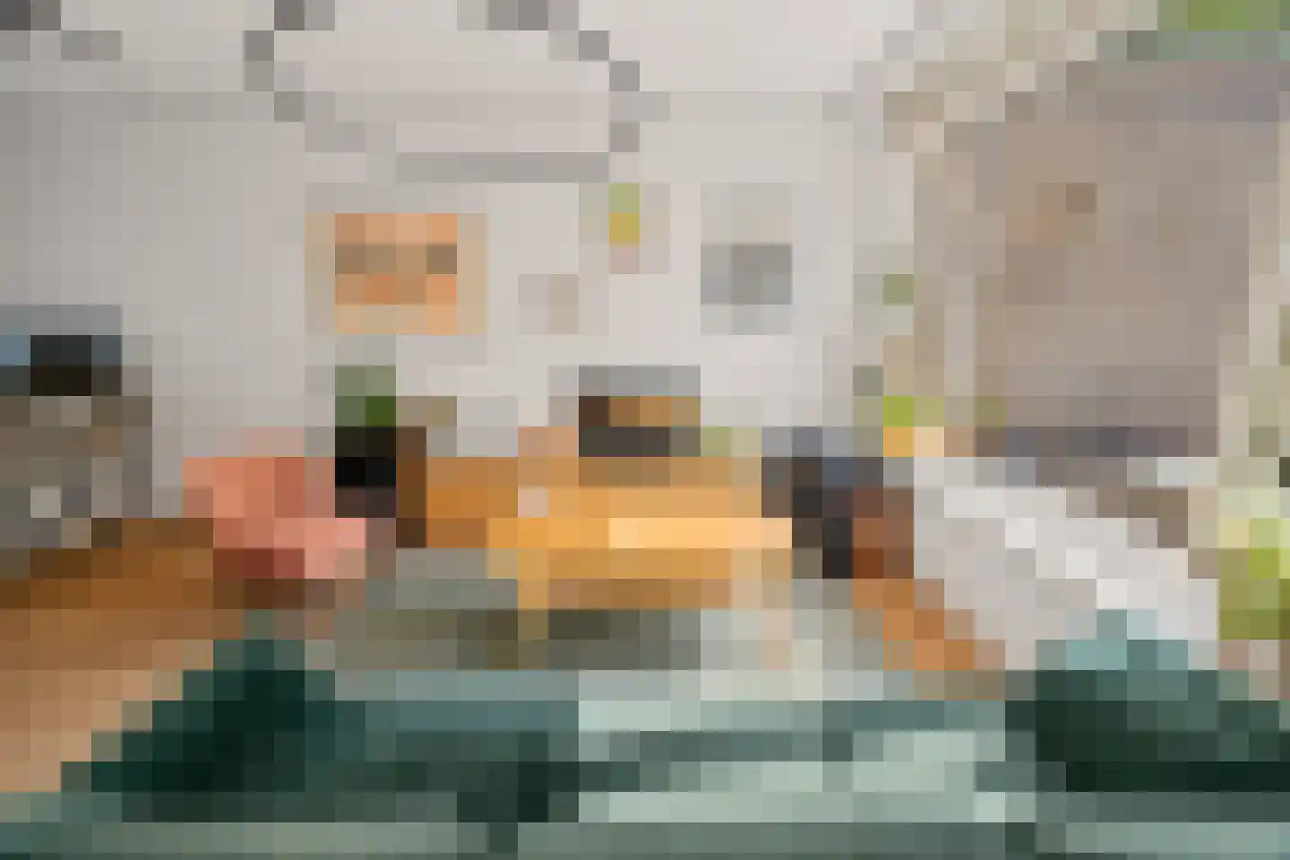 Houstondreef 21 Utrecht thumbnail 9