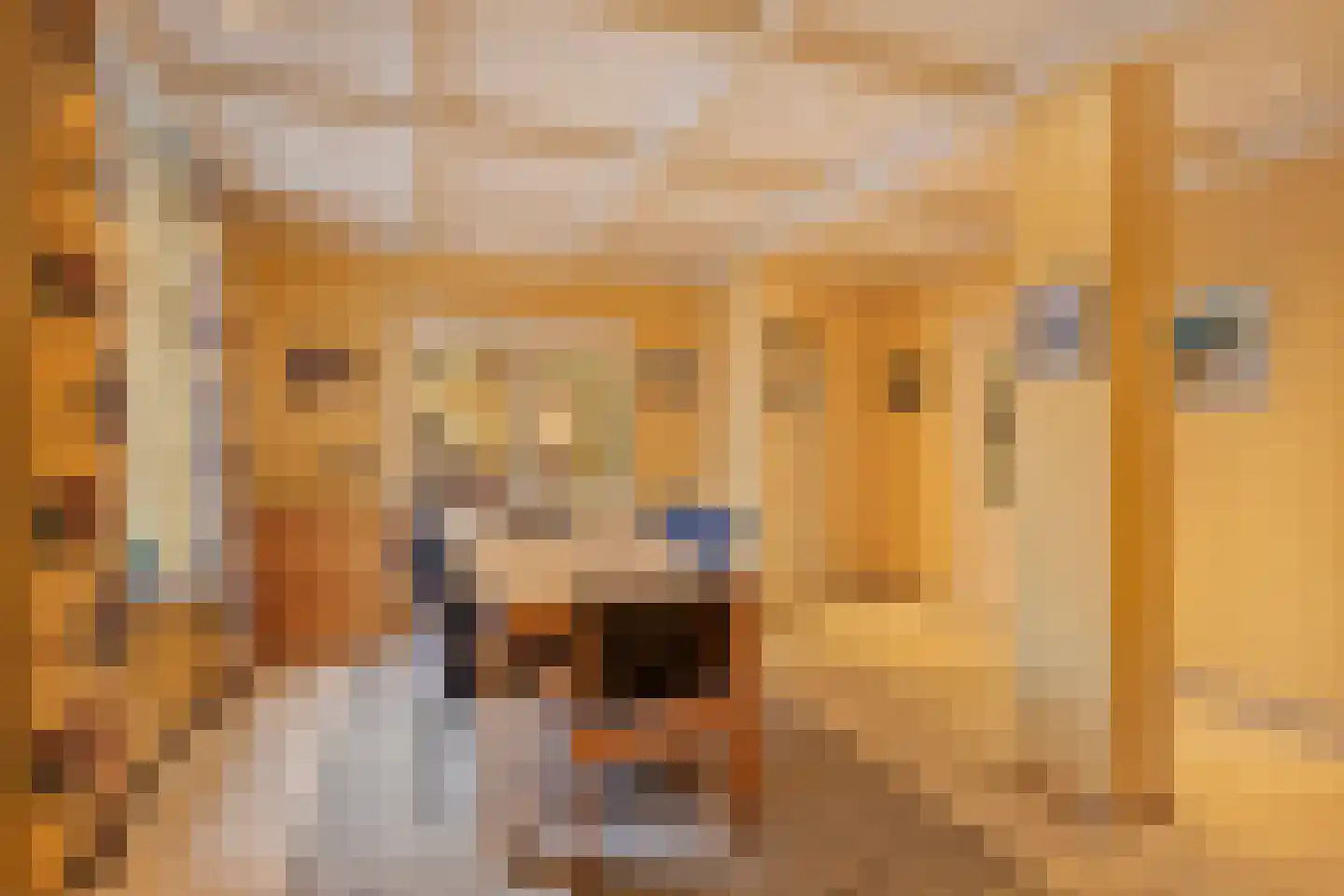 Hout oost 12 Geldrop thumbnail 13