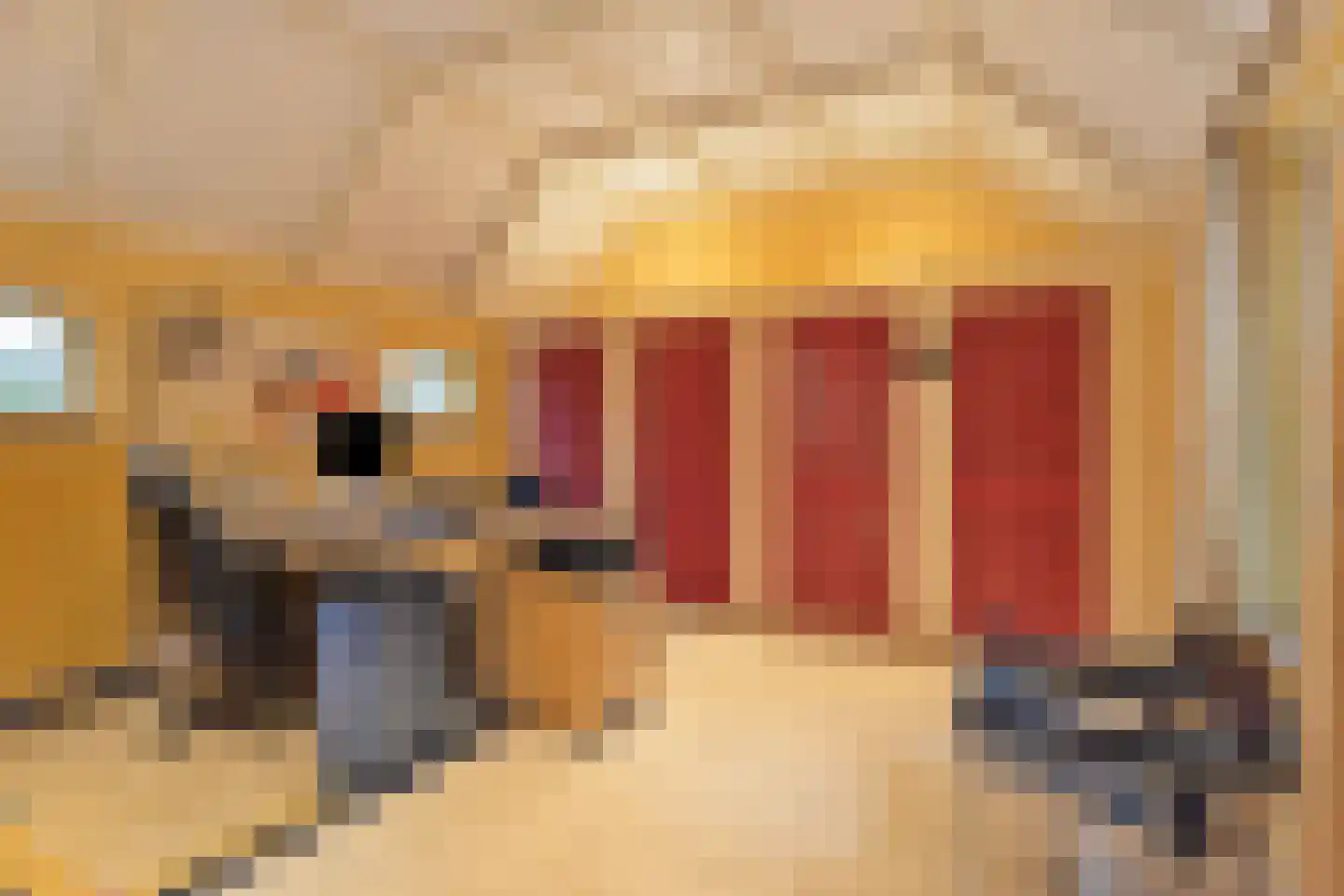 Hout oost 12 Geldrop thumbnail 16