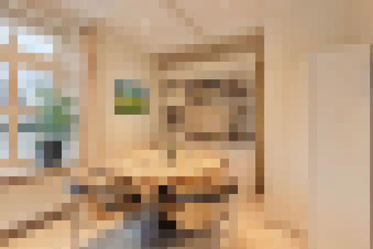 Hout oost 12 Geldrop thumbnail 22