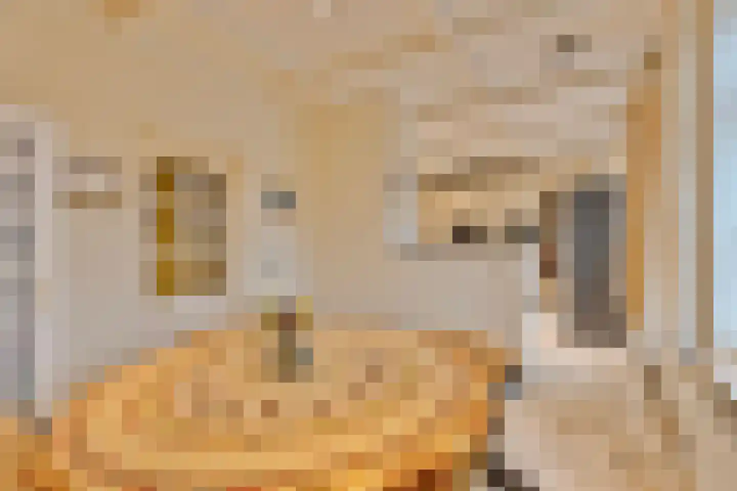 Hout oost 12 Geldrop thumbnail 24