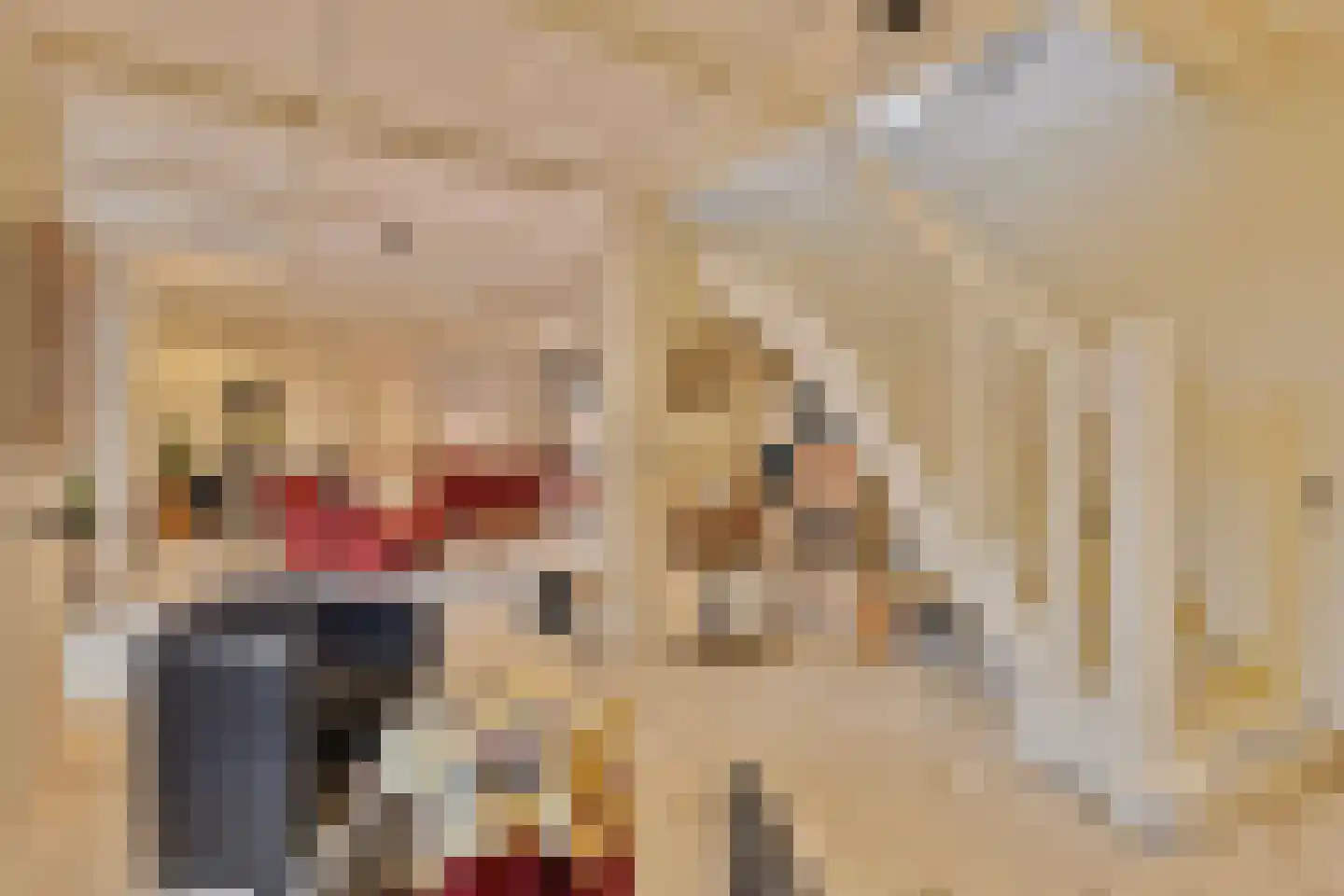 Hout oost 12 Geldrop thumbnail 28