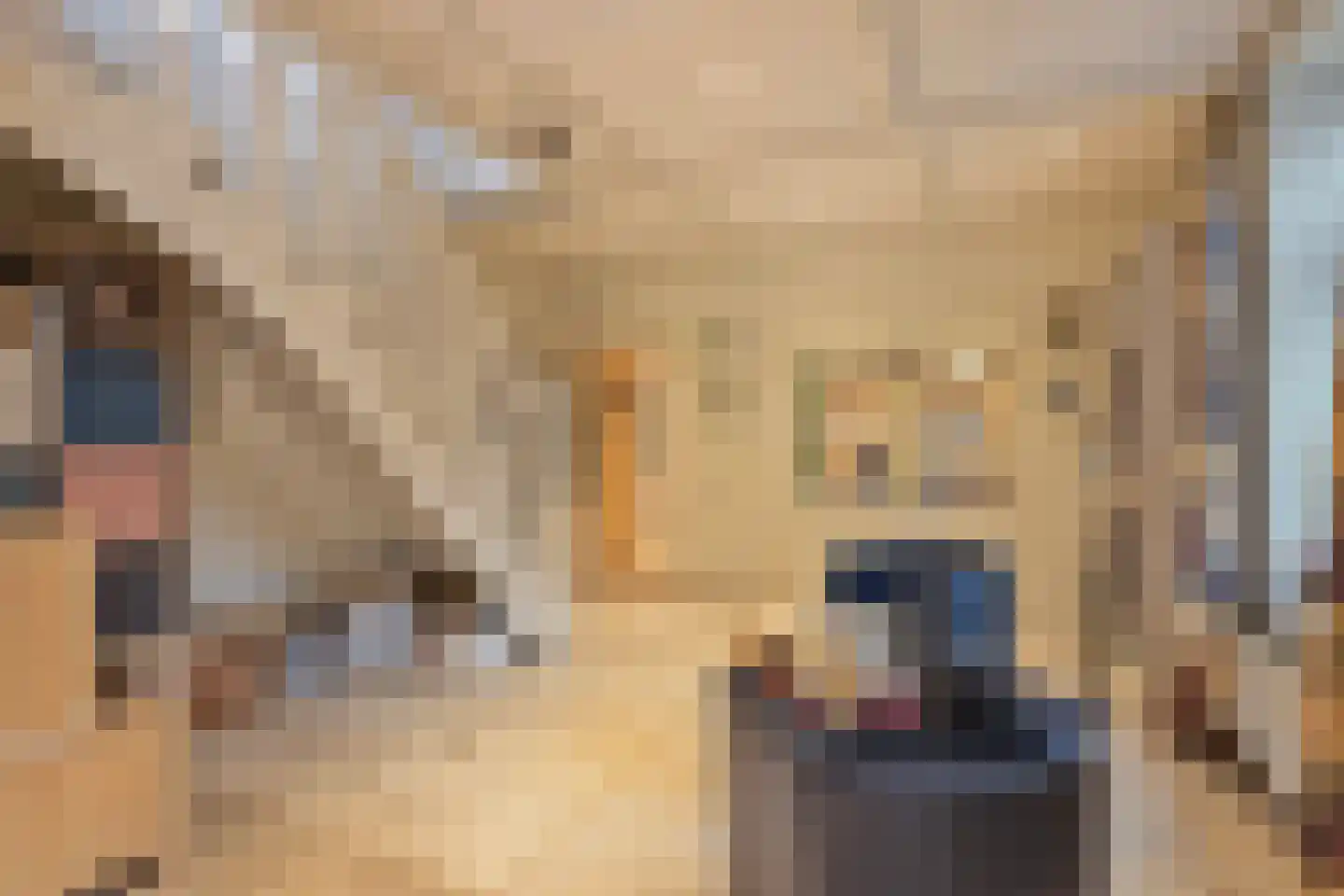 Hout oost 12 Geldrop thumbnail 29