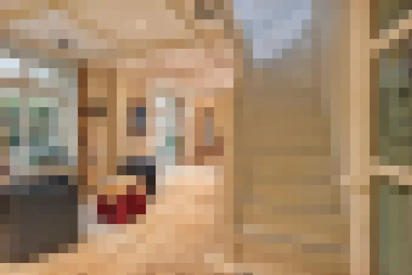 Hout oost 12 Geldrop thumbnail 30