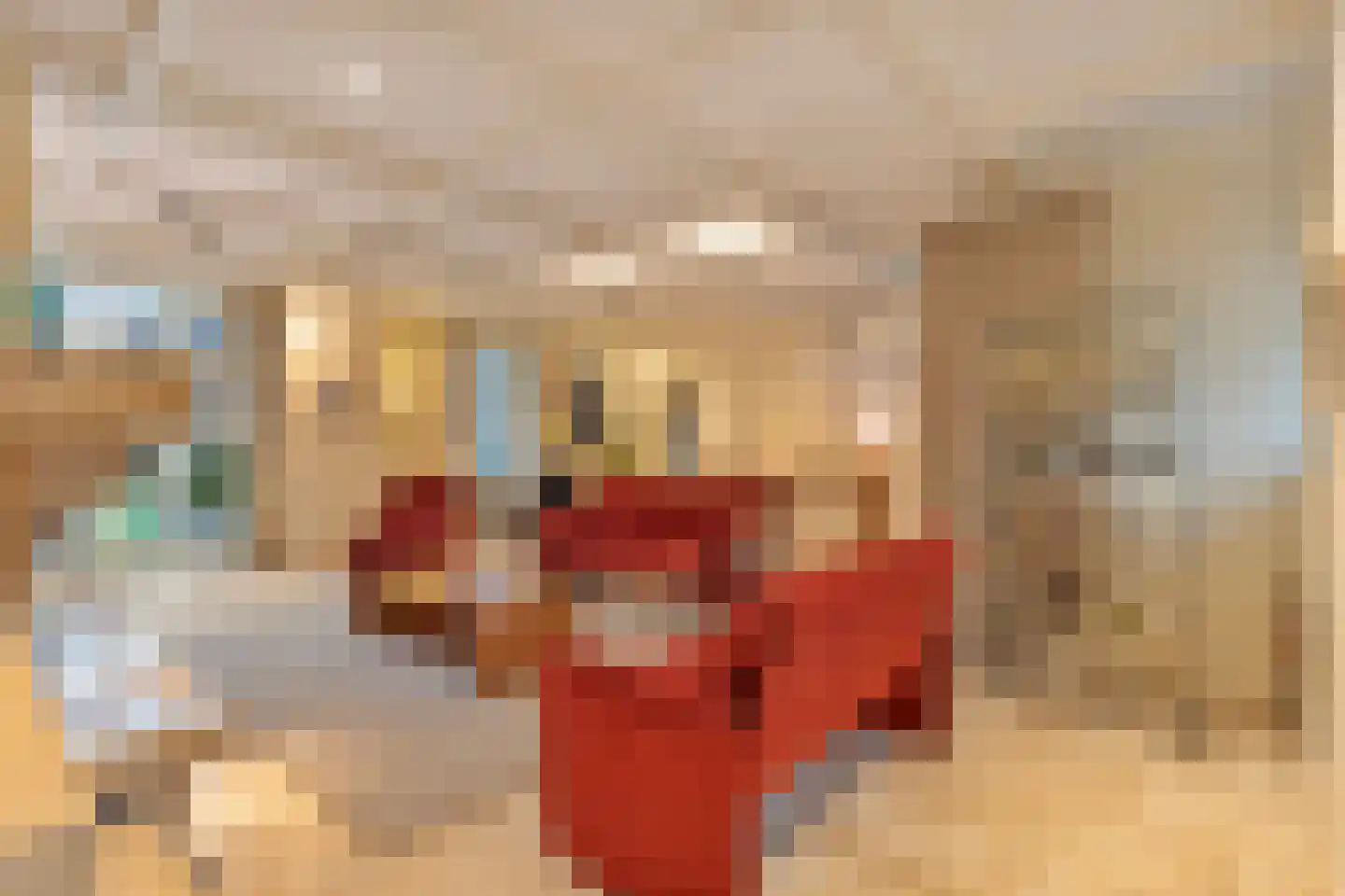 Hout oost 12 Geldrop thumbnail 33