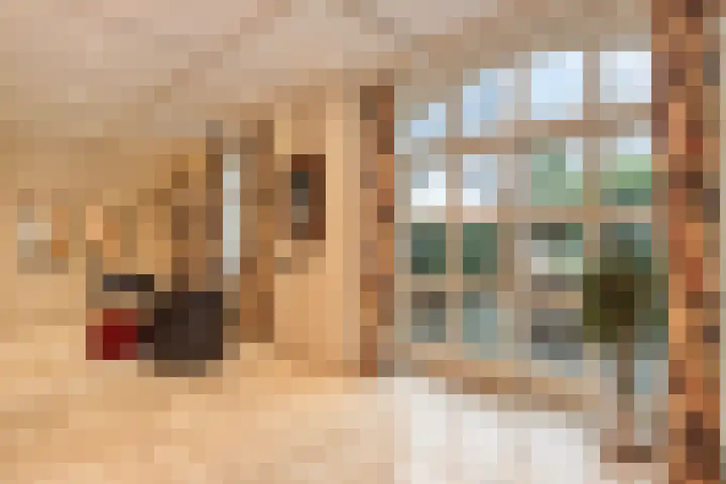 Hout oost 12 Geldrop thumbnail 34