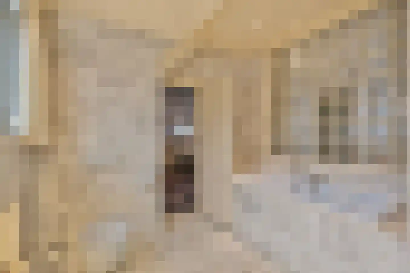 Hout oost 12 Geldrop thumbnail 60