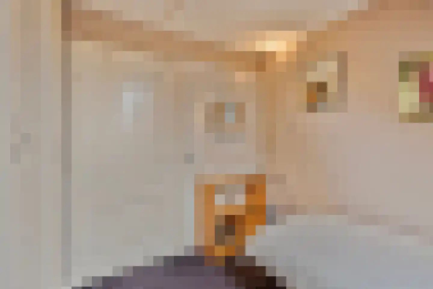 Hout oost 12 Geldrop thumbnail 65