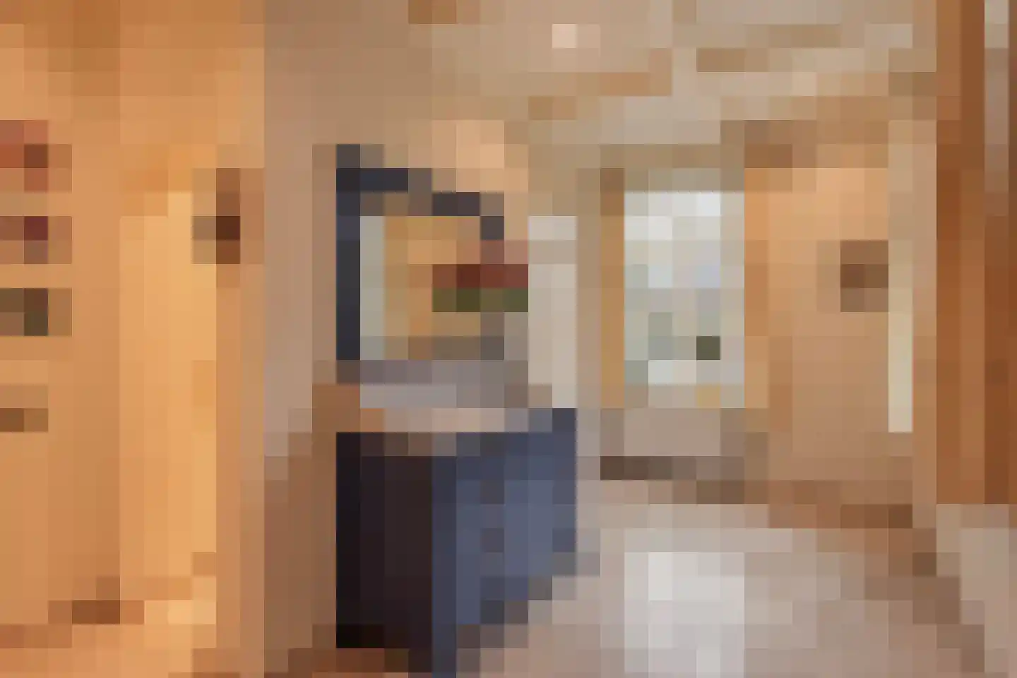Hout oost 12 Geldrop thumbnail 7