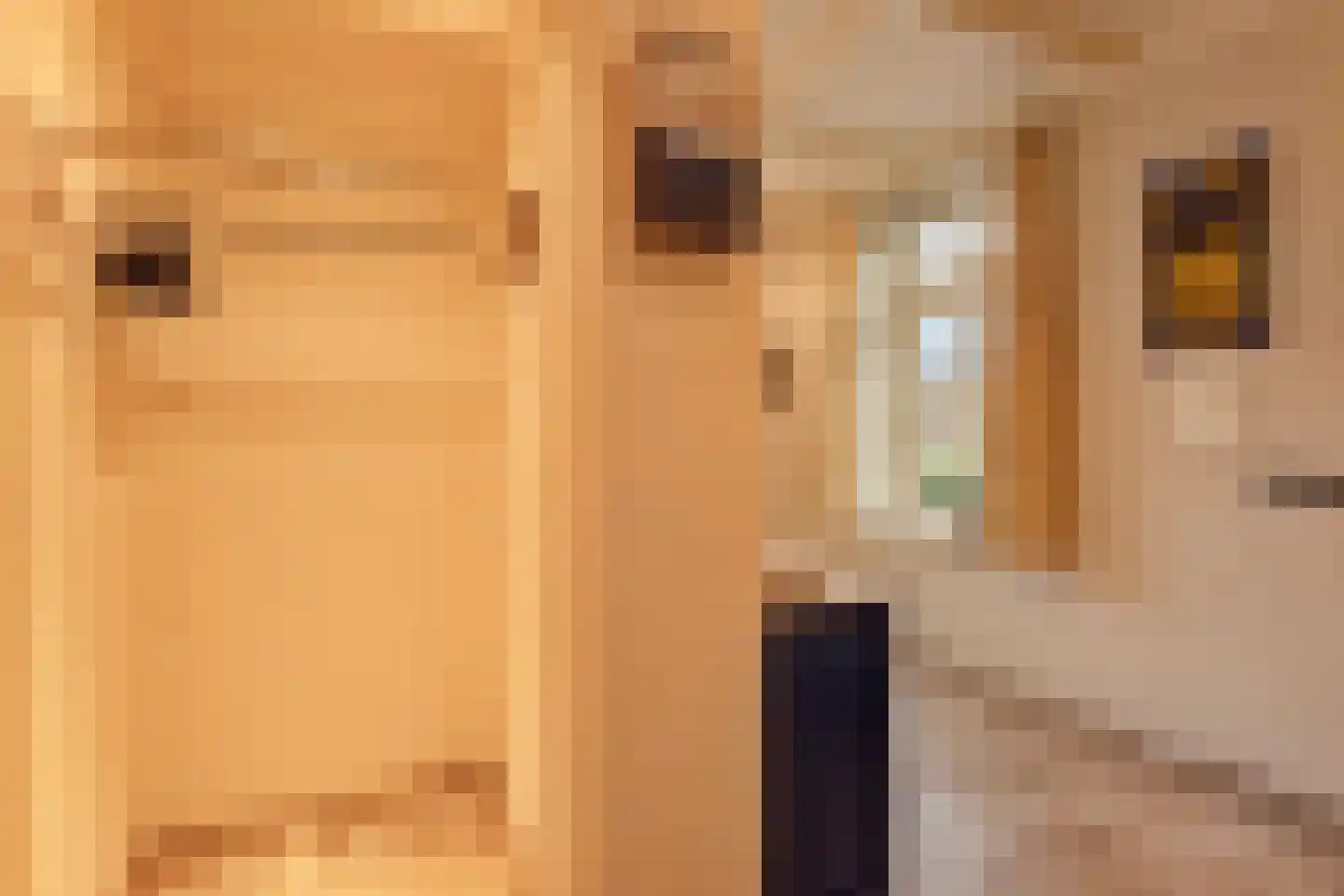Hout oost 12 Geldrop thumbnail 9