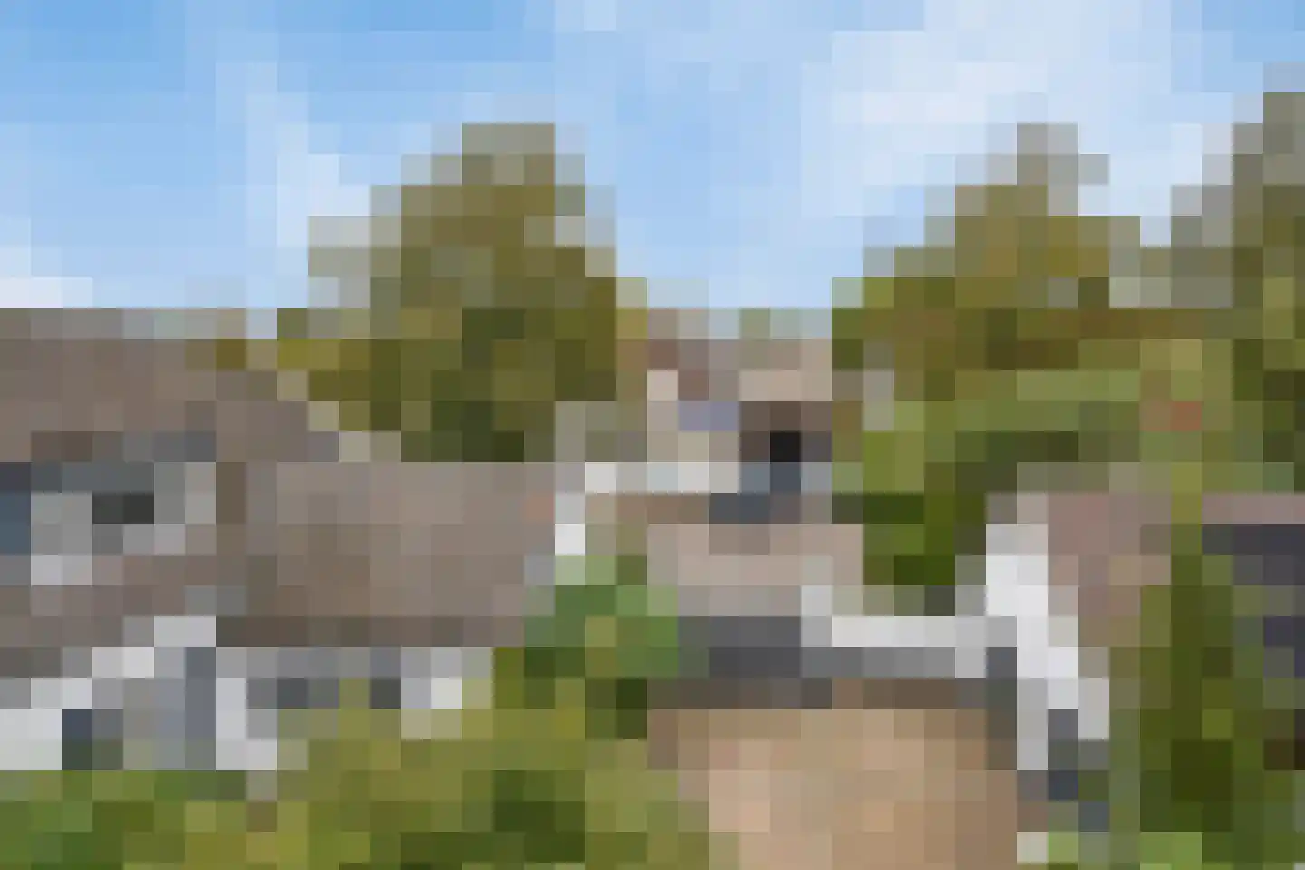 Hout oost 12 Geldrop thumbnail 99