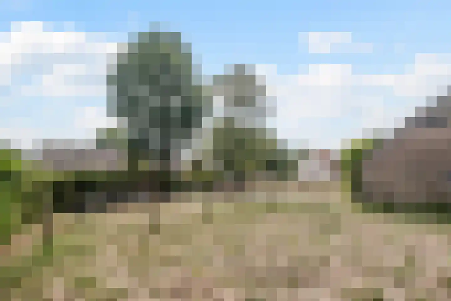 Hout oost 7 Geldrop thumbnail 23