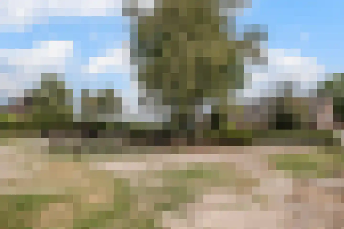 Hout oost 7 Geldrop thumbnail 25
