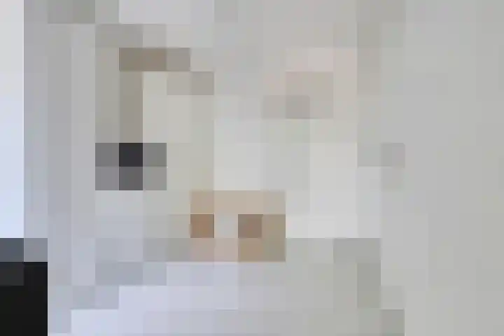 Houtakker 19 Baarle-Nassau thumbnail 22