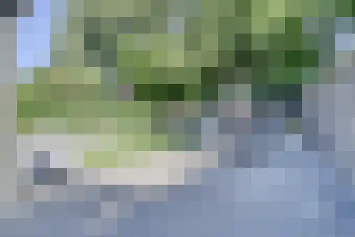 Houtakker 19 Baarle-Nassau thumbnail 39