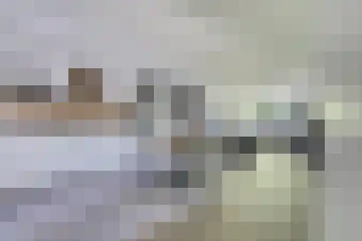 Houtakker 19 Baarle-Nassau thumbnail 4