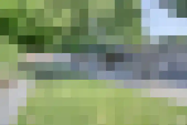 Houtakker 19 Baarle-Nassau thumbnail 40