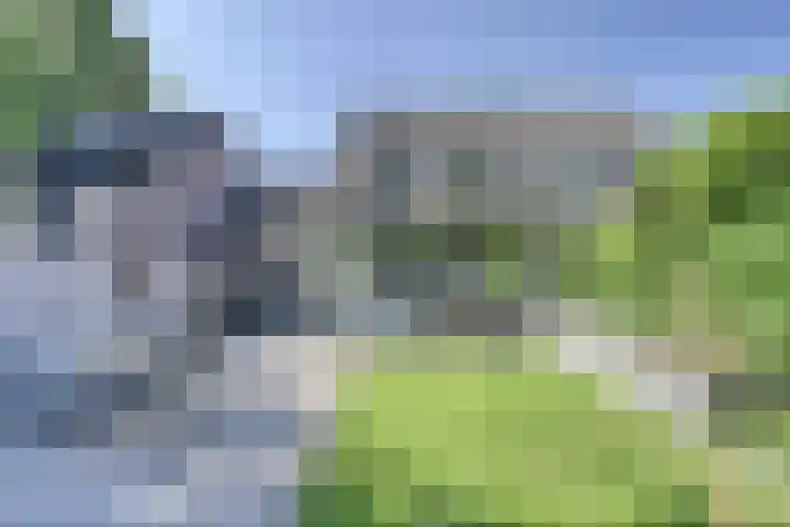 Houtakker 19 Baarle-Nassau thumbnail 44