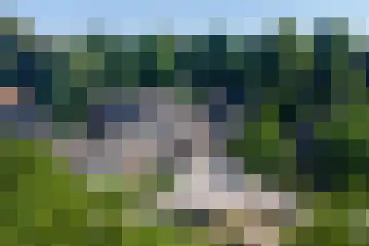 Houtakker 19 Baarle-Nassau thumbnail 46