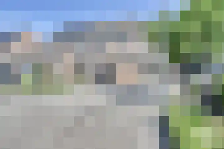 Houtakker 19 Baarle-Nassau thumbnail 49