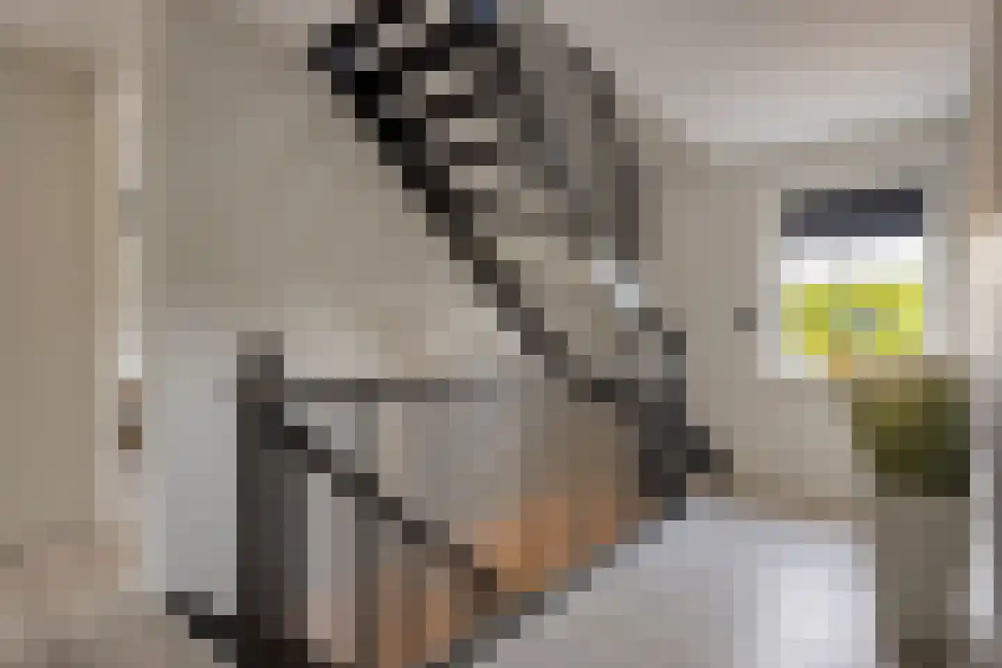 Houtakkerstraat 19 A Breda thumbnail 20