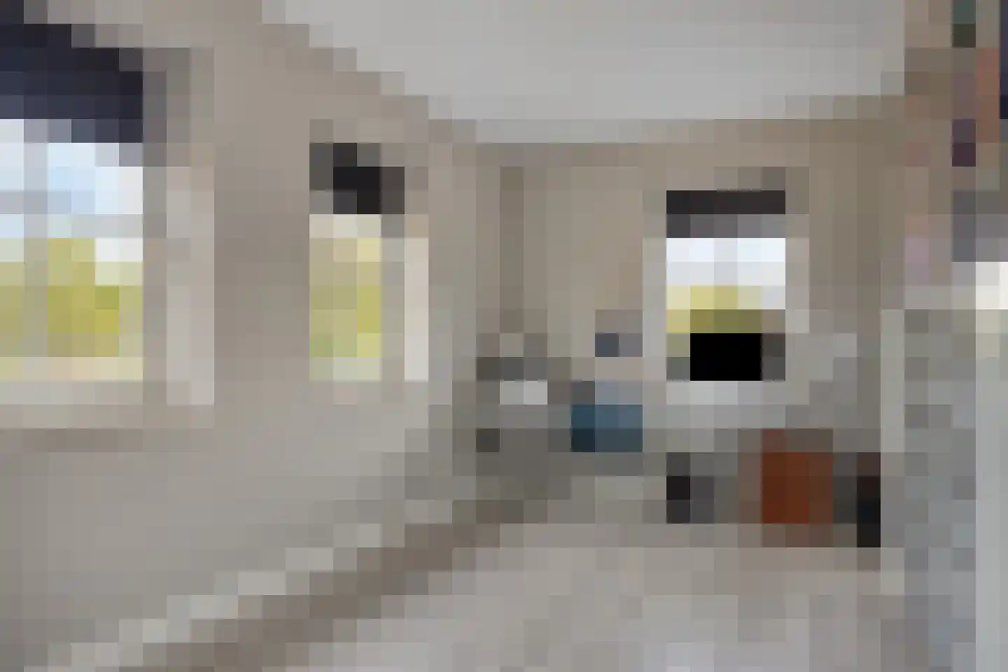 Houtakkerstraat 19 A Breda thumbnail 22