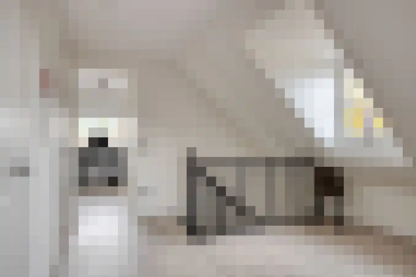 Houtakkerstraat 19 A Breda thumbnail 31