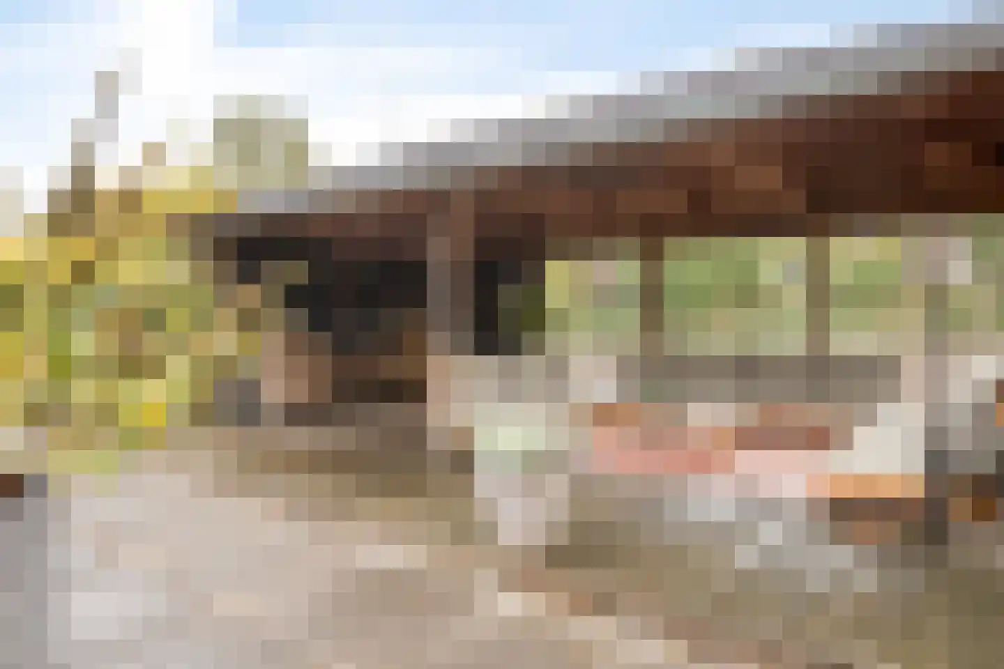 Houtakkerstraat 19 A Breda thumbnail 51