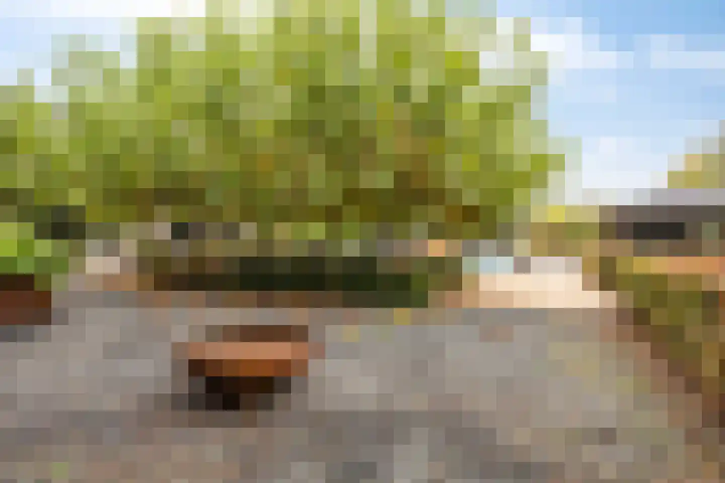 Houtakkerstraat 19 A Breda thumbnail 56