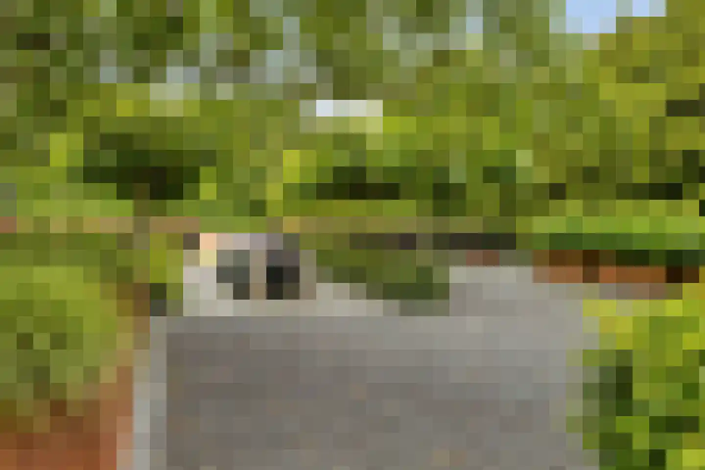 Houtakkerstraat 19 A Breda thumbnail 67
