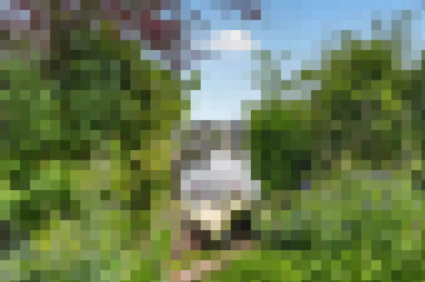 Houtbaai 14 Purmerend thumbnail 35