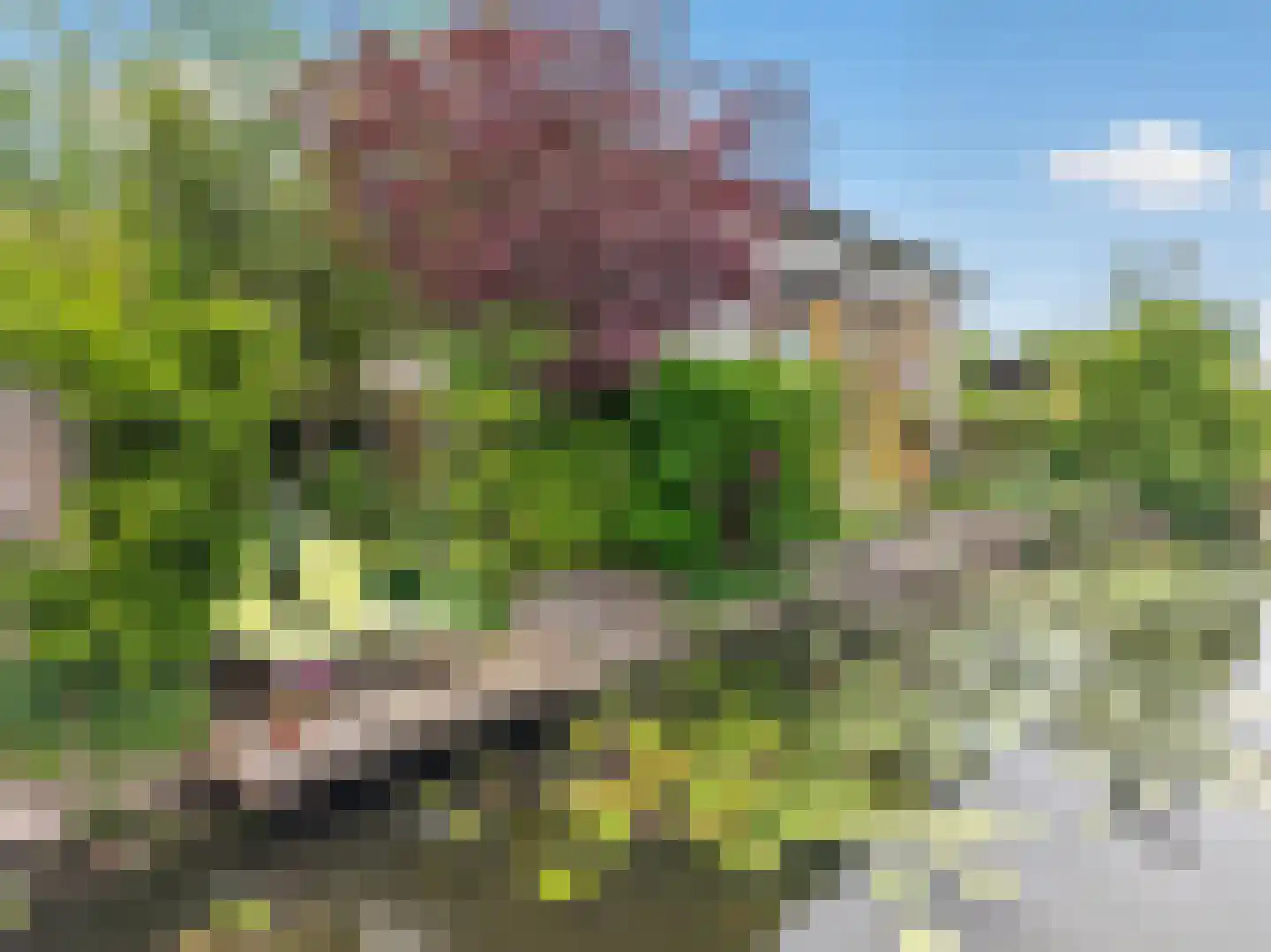 Houtbaai 14 Purmerend thumbnail 37