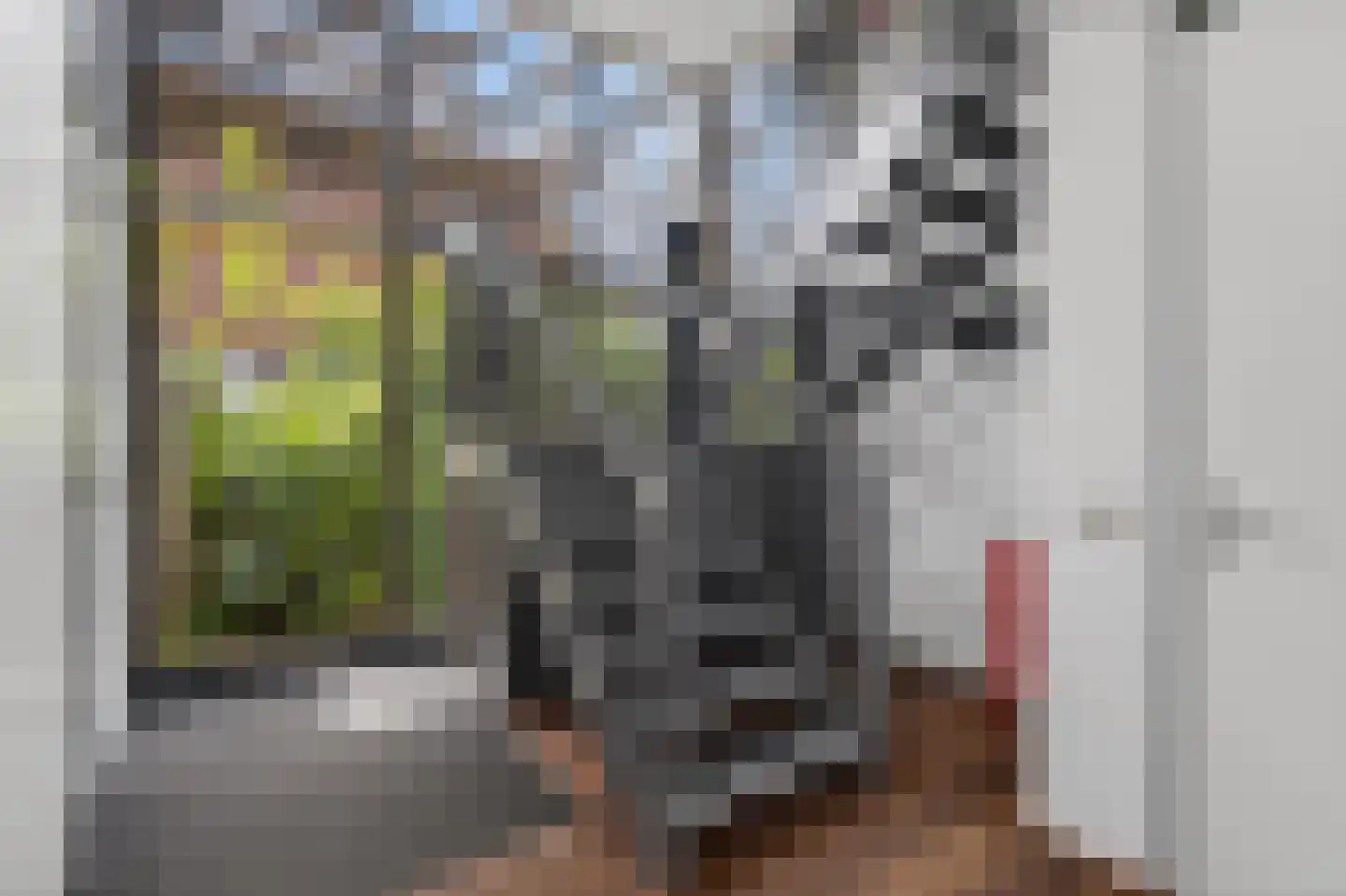 Houtbaai 14 Purmerend thumbnail 4