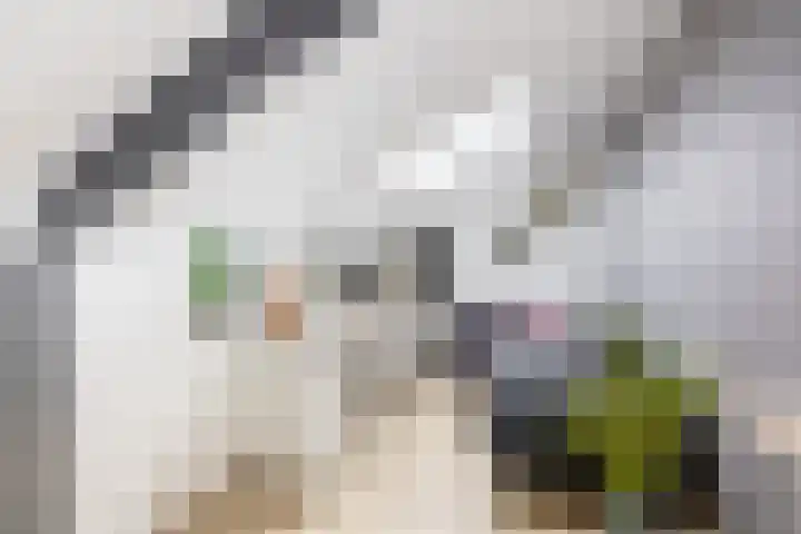 Houtbaai 54 Purmerend thumbnail 44
