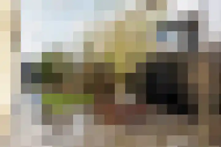 Houtbaai 54 Purmerend thumbnail 53