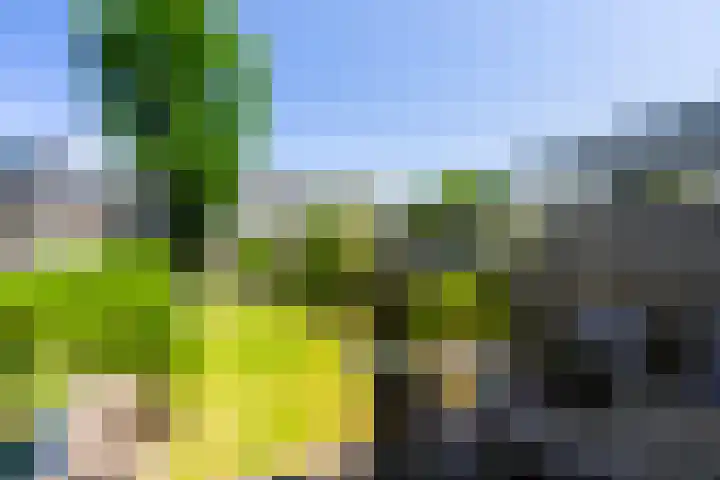 Houtblazerspad 103 Oud-Beijerland thumbnail 13