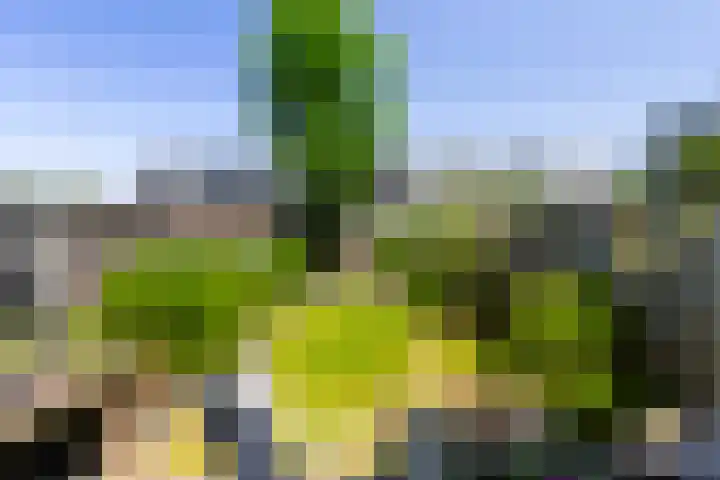 Houtblazerspad 103 Oud-Beijerland thumbnail 14