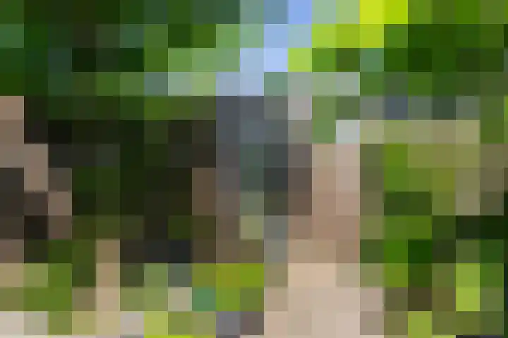 Houtblazerspad 103 Oud-Beijerland thumbnail 15