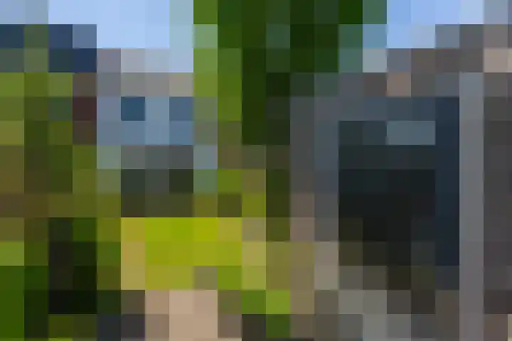 Houtblazerspad 103 Oud-Beijerland thumbnail 16