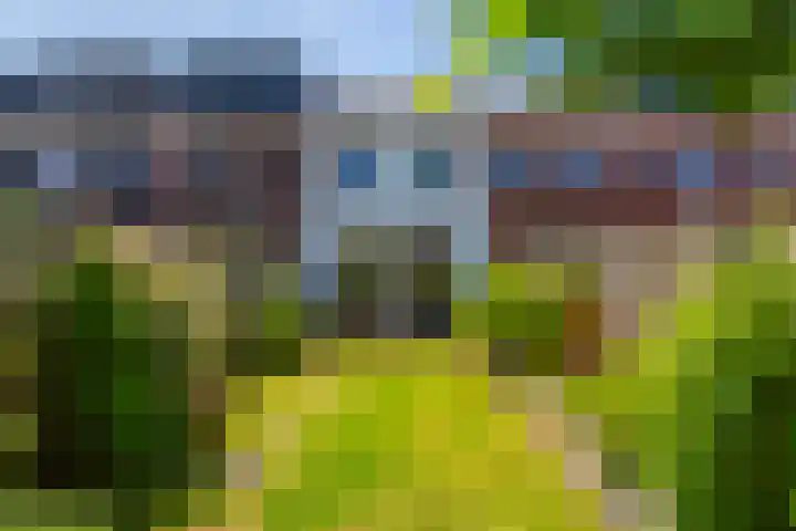 Houtblazerspad 103 Oud-Beijerland thumbnail 17