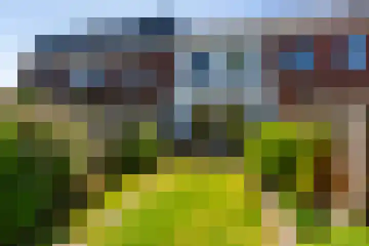 Houtblazerspad 103 Oud-Beijerland thumbnail 18