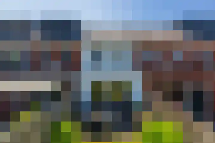 Houtblazerspad 103 Oud-Beijerland thumbnail 20